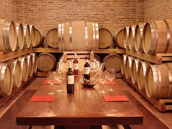 Corinth : Visite d'un vignoble et dégustations de vins fins biologiques
