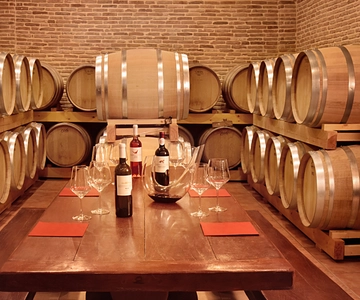 Corinto: Visita a la Bodega y Catas de Vino Fino Ecológico