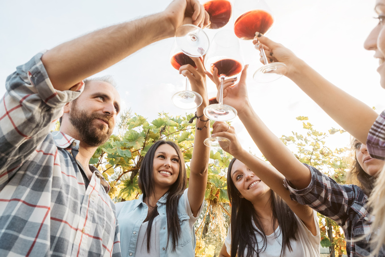 Corinth : Visite d'un vignoble et dégustations de vins fins biologiques