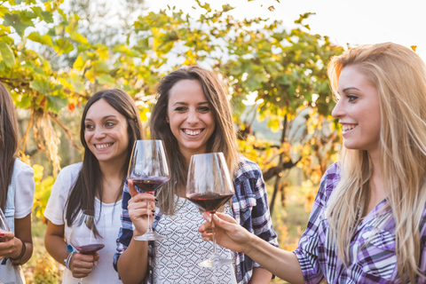 Corinth : Visite d'un vignoble et dégustations de vins fins biologiques