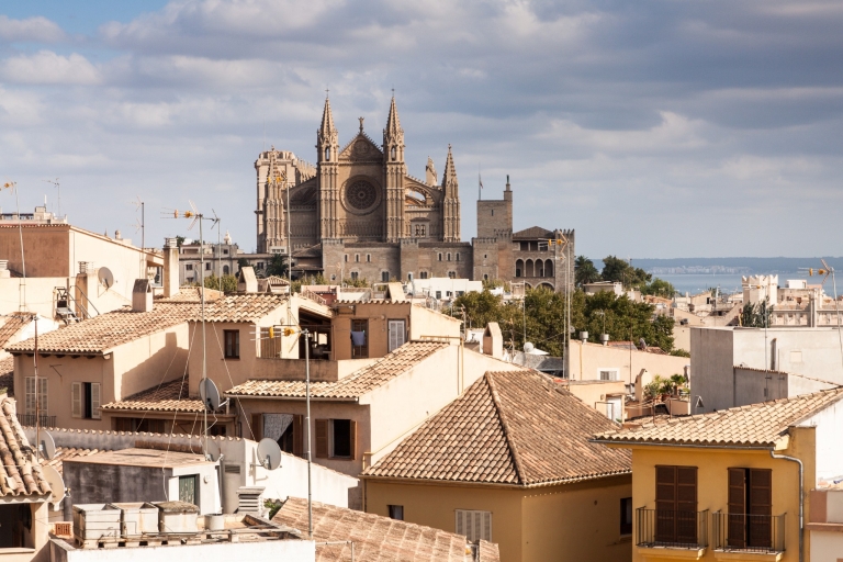 Palma: búsqueda del tesoro autoguiada y recorrido a pie por la ciudad