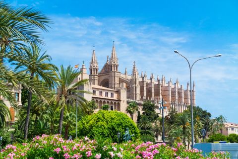 Palma Mallorca : Chasse au trésor autoguidée et visite des points forts de l'île