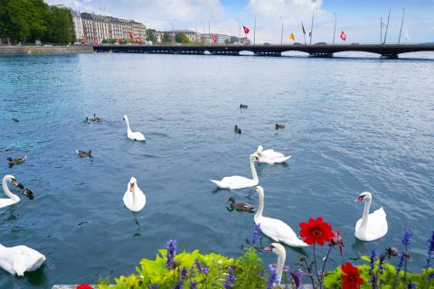 Geneva Highlights Self-Guided Scavenger Hunt and Tour