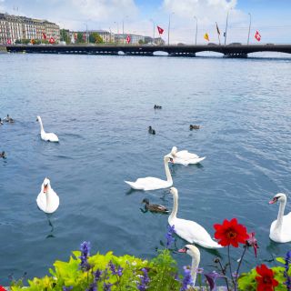 Geneva Highlights Self-Guided Scavenger Hunt and City Tour