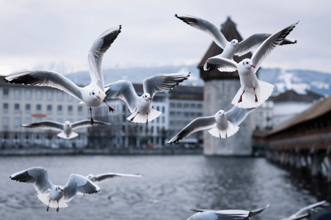 Lucerne Highlights Self-Guided Scavenger Hunt and Audio Tour