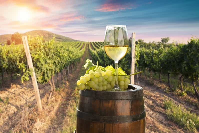 From Bologna Franciacorta Lunch and Wine Tasting GetYourGuide