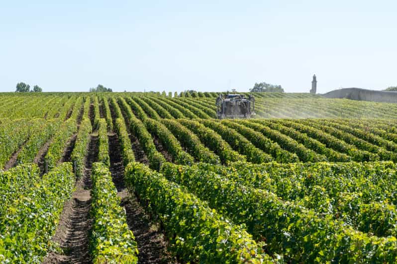 From Bologna Franciacorta Lunch and Wine Tasting GetYourGuide