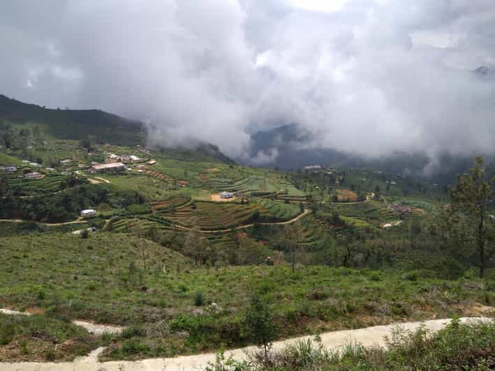 photo-gallery