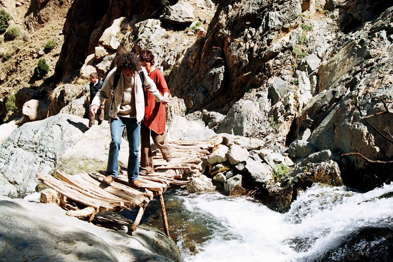 Desde Marrakech: excursión privada de un día a las montañas del Atlas