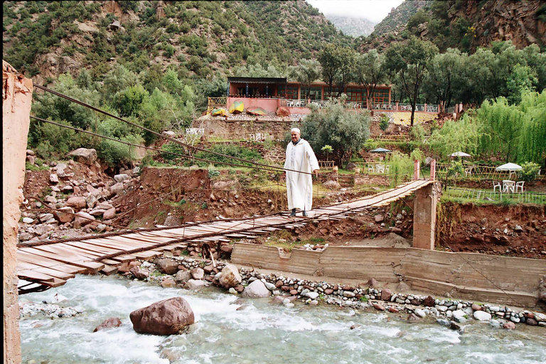 Desde Marrakech: excursión privada de un día a las montañas del Atlas