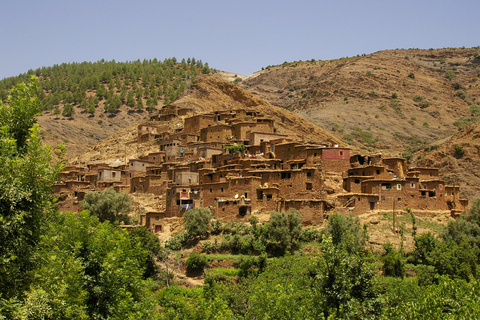 From Marrakech: Private Day Trip to Atlas Mountains