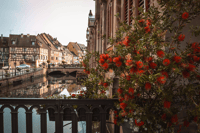 Colmar, Highlights Self-Guided Scavenger Hunt & Walking Tour - Hizvo