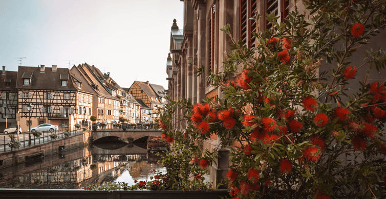 The Council of Europe - Visit Alsace