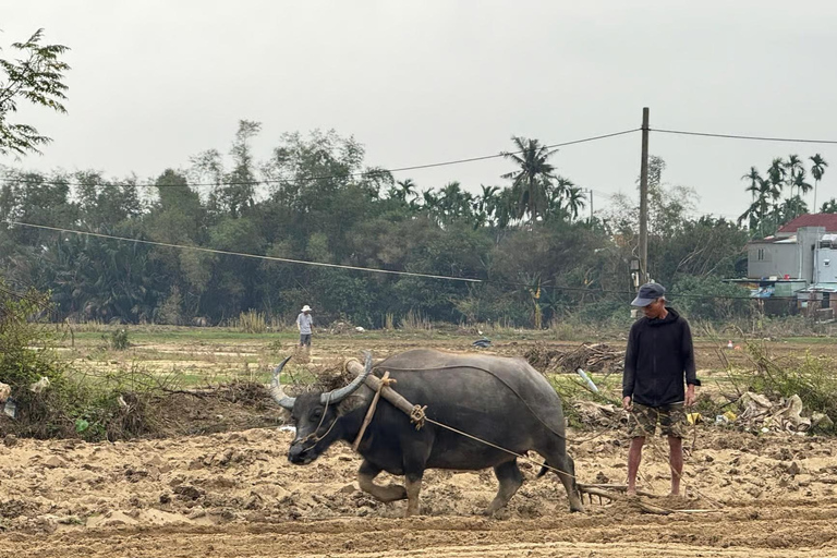 Hoi An: Morning Bike Tour - Rice Wine, Lunch & Villages Group Tour