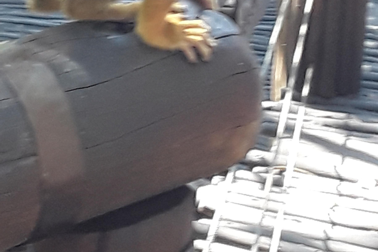 The Elephant and Monkey Sanctuary.