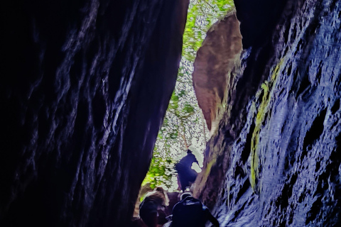 Rio de Janeiro: Tijuca Caves Guided Hike with Park Entry