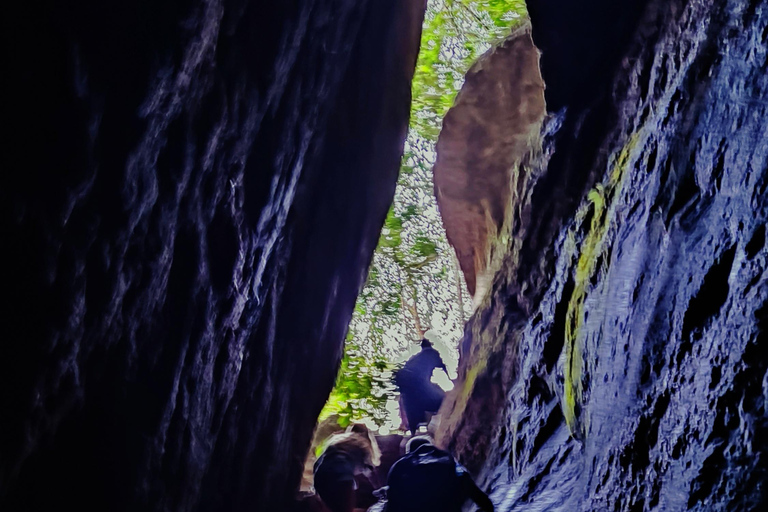 Rio de Janeiro: Tijuca Caves Guided Hike with Park Entry