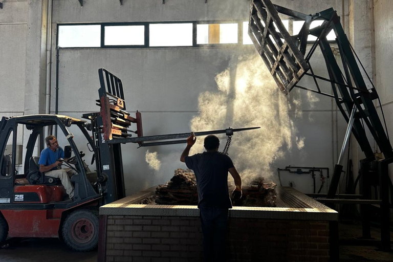 Lisbon: Évora (w/ Cathedral & Bones), Cartuxa & Cork Factory
