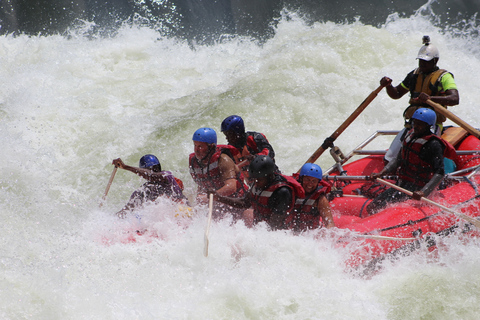 Fleuve Zambèze : rafting en eaux vives adapté aux enfantsDepuis les chutes Victoria : rafting en eau vive adapté aux enfants