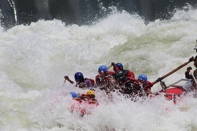 Río Zambezi: rafting en aguas bravas para niñosDesde las cataratas Victoria: rafting en aguas bravas para niños