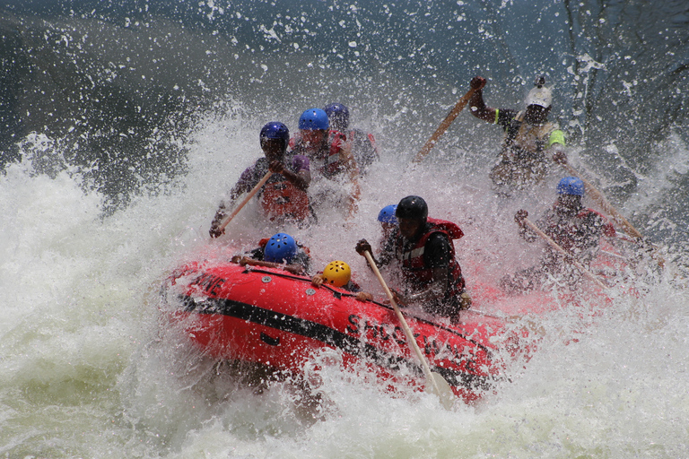 Fleuve Zambèze : rafting en eaux vives adapté aux enfantsDepuis les chutes Victoria : rafting en eau vive adapté aux enfants