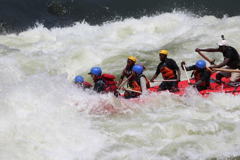 Cataratas Victoria: descenso de aguas bravas del río ZambezeTemporada de agua alta con recogida en hotel de Zimbabue