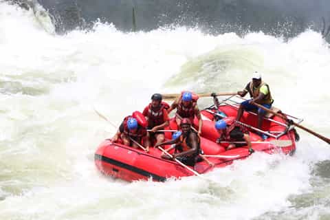 Cruises & boat tours