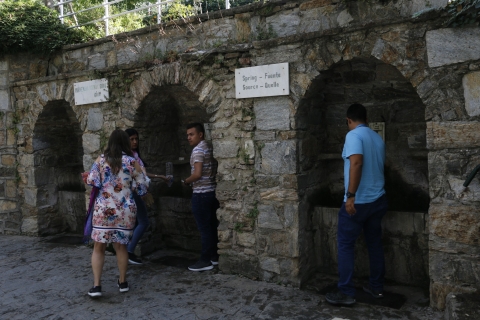 Depuis Kusadasi ou Selcuk : Excursion d'une journée à Éphèse avec déjeunerAu départ de Selcuk : Journée complète d'excursion en petit groupe à Ephèse
