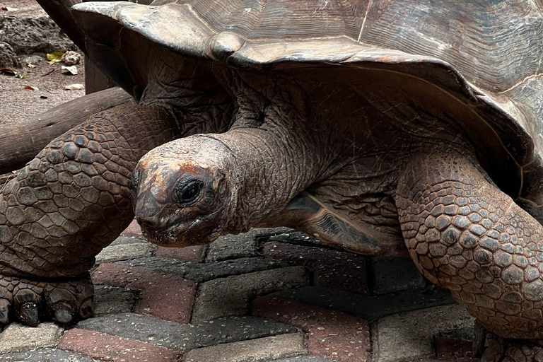 Ciudad de piedra y prisión Isla