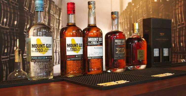 Barbados: Rum Distillery Tour and Mount Gay Visitor Center | GetYourGuide