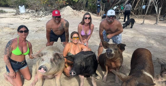 Bahamas: Private Boat Tour, Swimming Pigs, Turtles & More