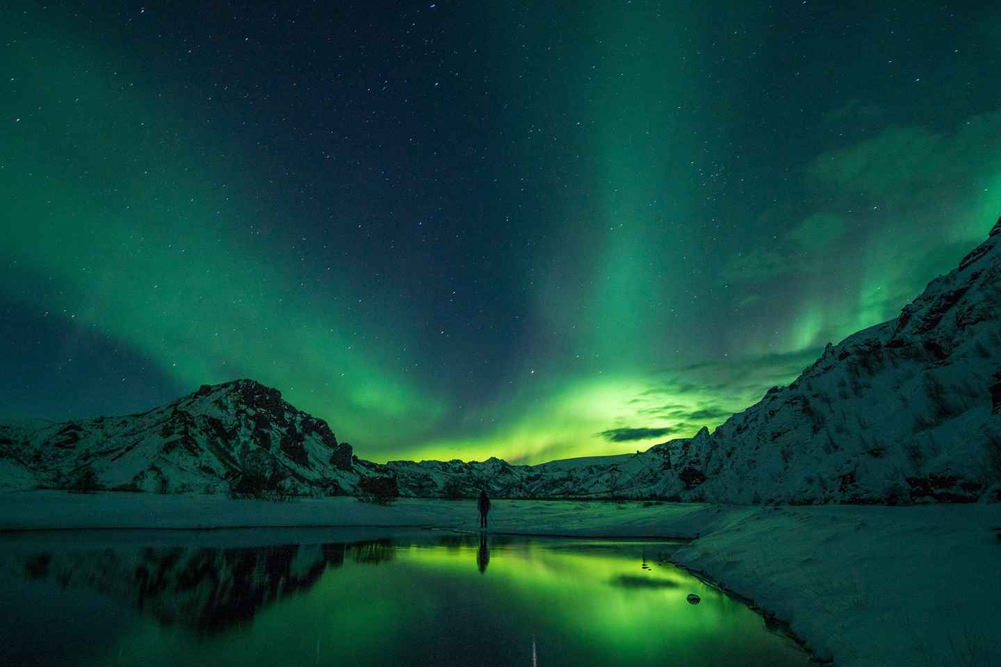 Reykjavik: Northern Lights with Icelandic Treats
