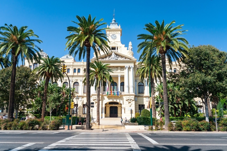 Van Sevilla: privétour Malaga met toegangsticket Alcazaba