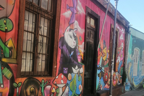 Santiago: Valparaíso and Viña del Mar Private Day Trip