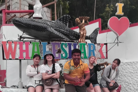 Oslob whaleshark watching & inambakan falls & sardines run