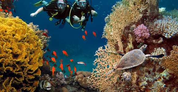 Discover Scuba Diving in Alanya, Side & Antalya
