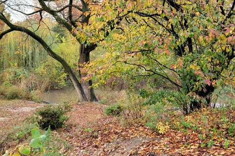 New York: Rundgang zu den Geheimnissen und Höhepunkten des Central Park