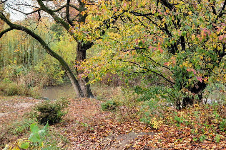 Nueva York: recorrido a pie por los secretos y lugares destacados de Central Park