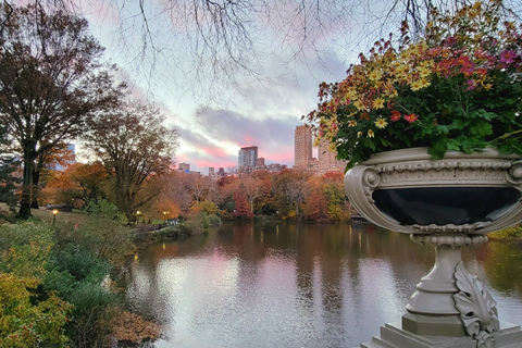 NYC: Central Park Secrets and Highlights Walking Tour