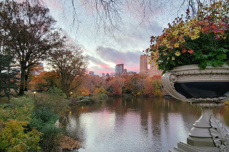 New York: visite à pied des secrets et des points forts de Central Park