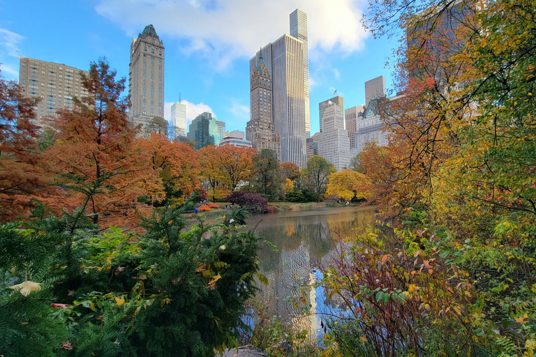 Nueva York: recorrido a pie por los secretos y lugares destacados de Central Park