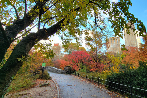 New York: visite à pied des secrets et des points forts de Central Park