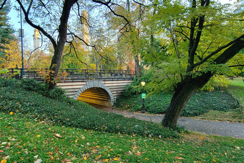 Nueva York: recorrido a pie por los secretos y lugares destacados de Central Park