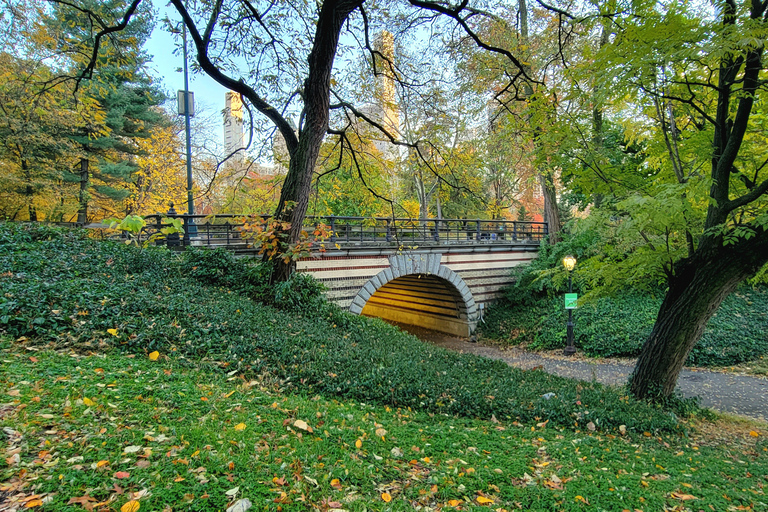 New York: visite à pied des secrets et des points forts de Central Park