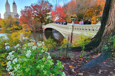 Nueva York: recorrido a pie por los secretos y lugares destacados de Central Park