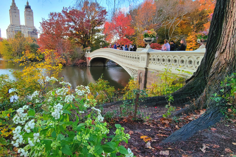 Nueva York: recorrido a pie por los secretos y lugares destacados de Central Park