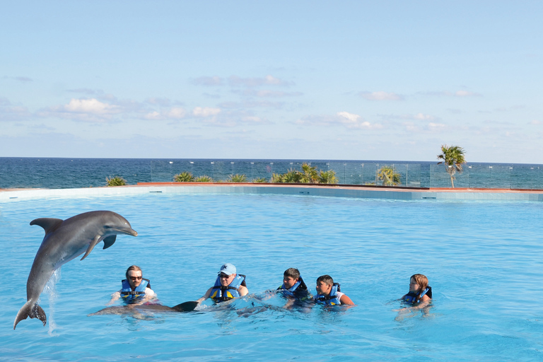 Akumal: Dolphin EncounterAkumal: All Ages Dolphin Encounter