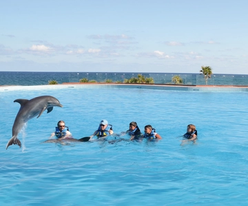 Akumal: encuentro con delfines