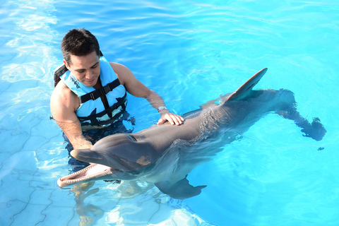 Akumal: Dolphin EncounterAkumal: All Ages Dolphin Encounter