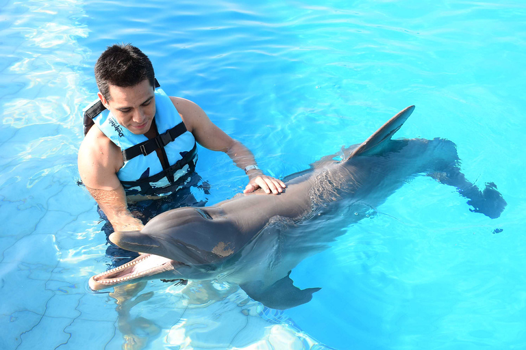 Akumal: Dolphin EncounterAkumal: All Ages Dolphin Encounter